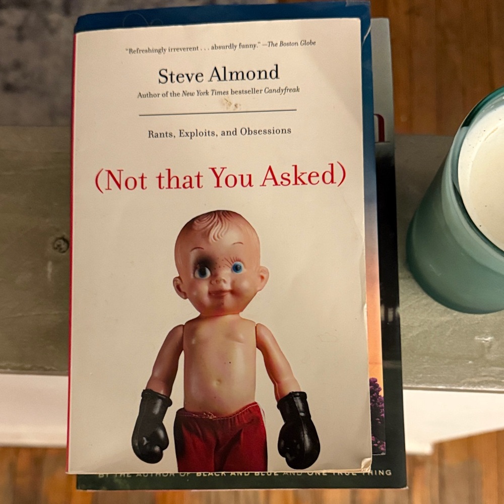 Steve Almond Book with Boxing Doll Cover